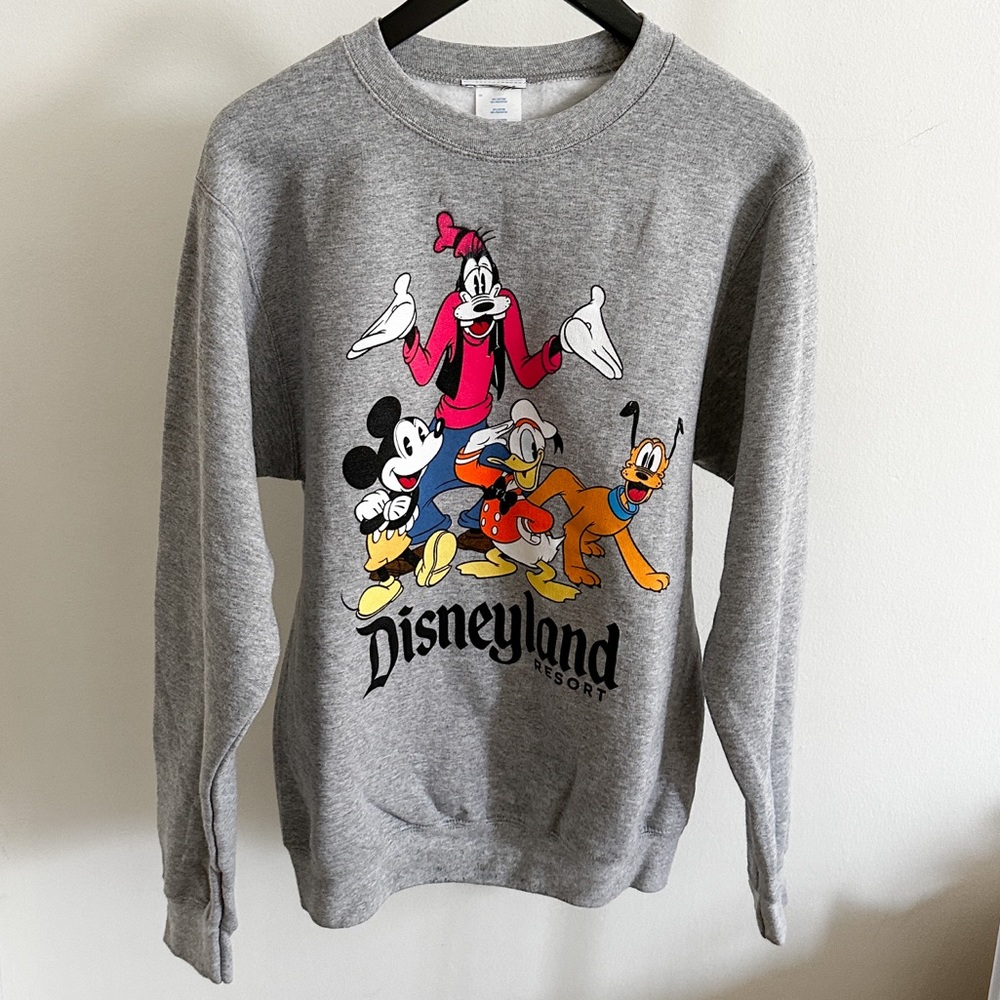 Disneyland Gray Sweatshirt